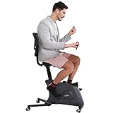 FLexiSpot Home Office Desk Chairs Exercise Bike Cycle Height Adjustable Fitness Chair Desk Bike- BlackPro F1