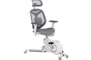 FlexiSpot Office Desk Chairs with Pedal Exerciser
