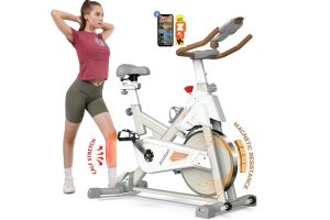 Pooboo D609 Magnetic Exercise Bike